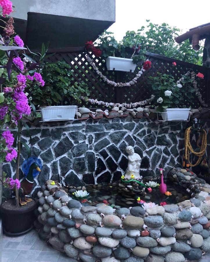 Sarievi Holiday Home 茨雷沃 外观 照片