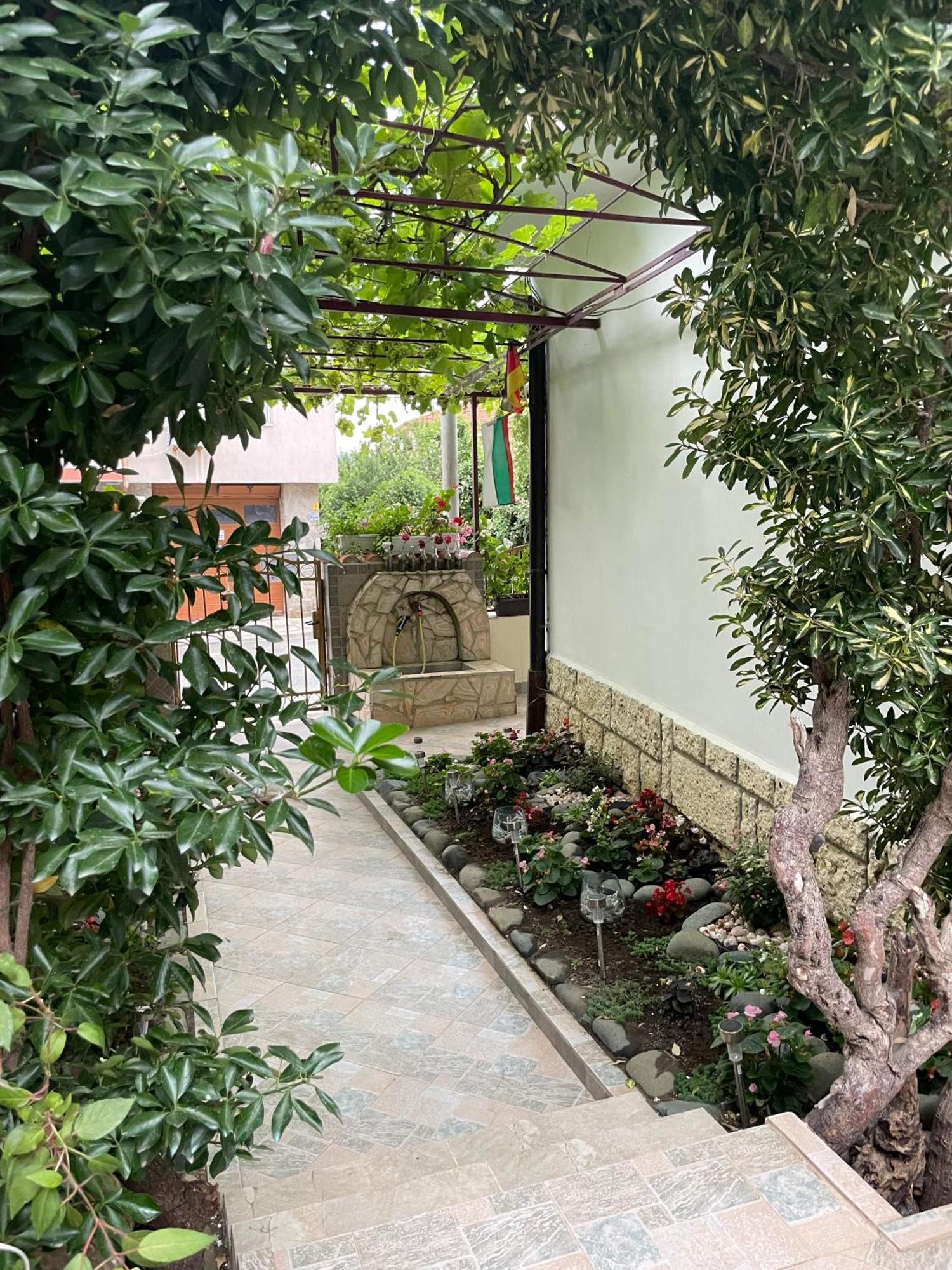 Sarievi Holiday Home 茨雷沃 外观 照片