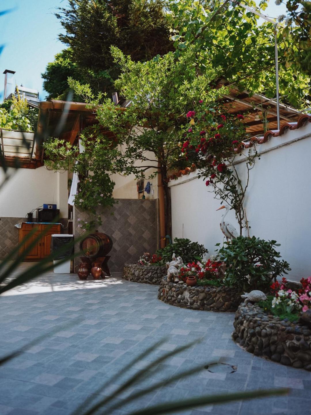 Sarievi Holiday Home 茨雷沃 外观 照片